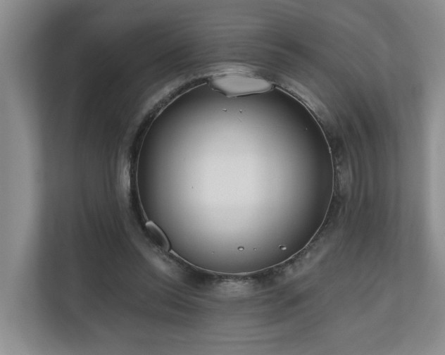 X0000110720350200906121433