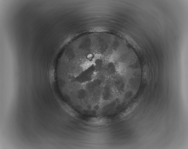 X0000110720351200906121433