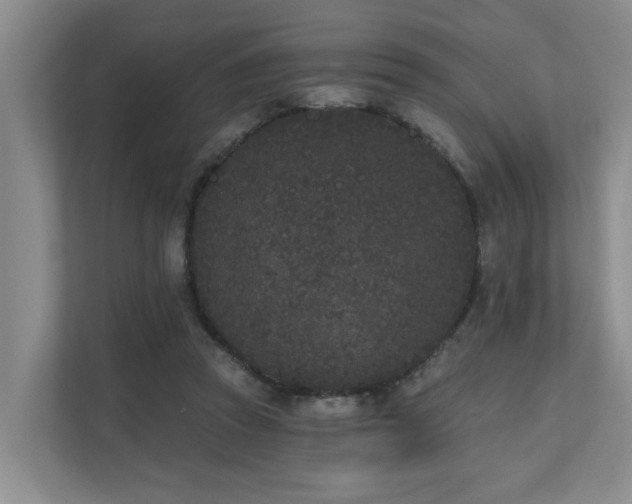 X0000110720353200906121433