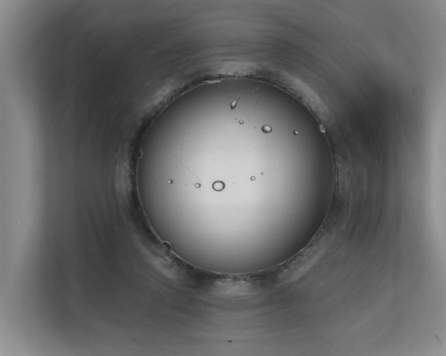 X0000110720354200906121433
