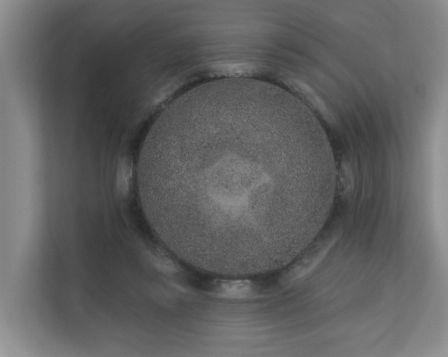 X0000110720355200906121433