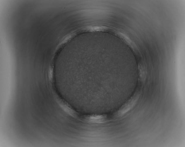 X0000110720357200906121433