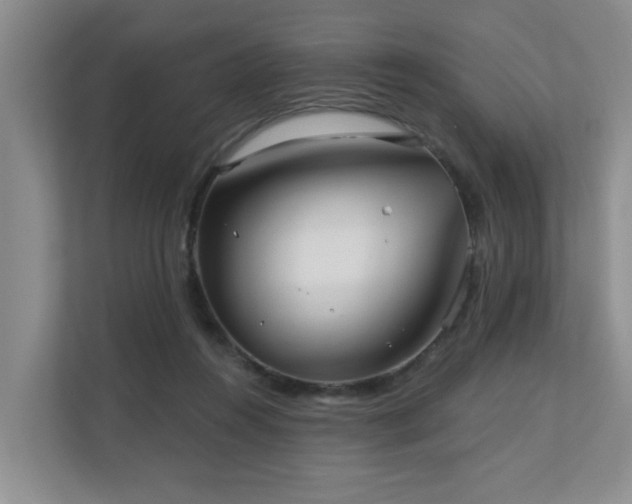 X0000110720360200906121433