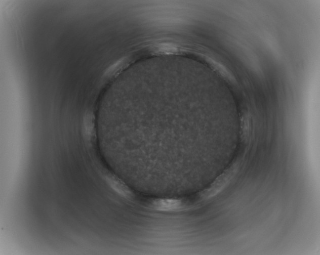 X0000110720361200906121433