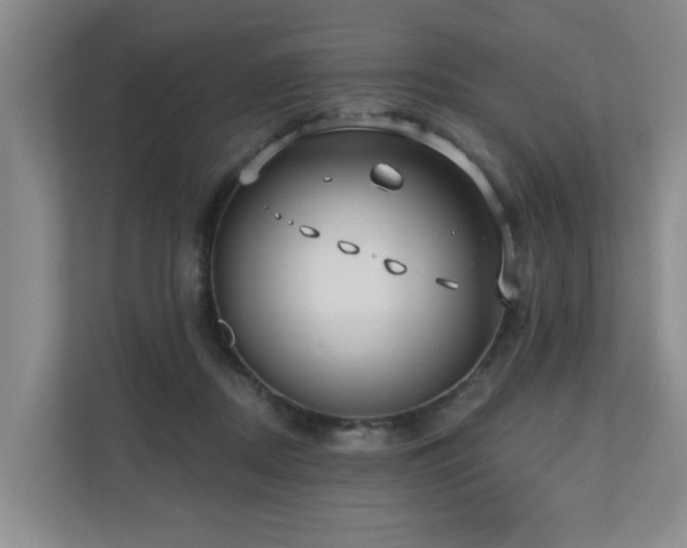 X0000110720362200906121433