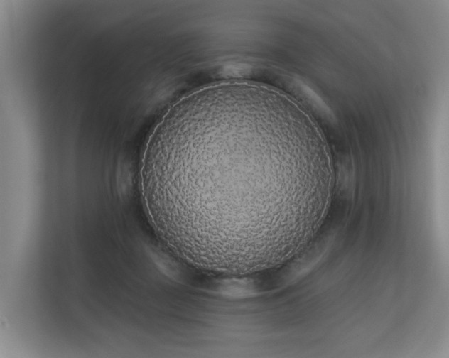 X0000110720363200906121433