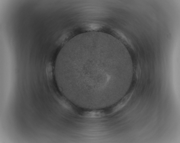 X0000110720366200906121433