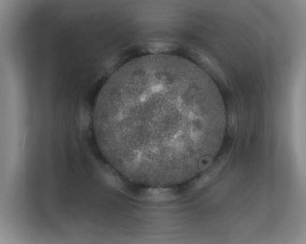 X0000110720367200906121433