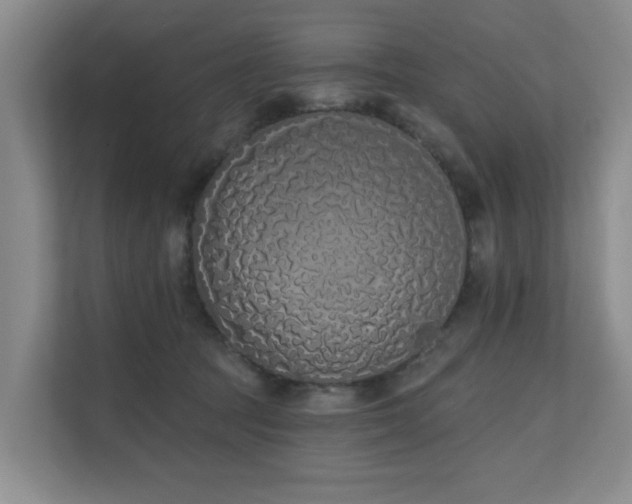 X0000110720369200906121433