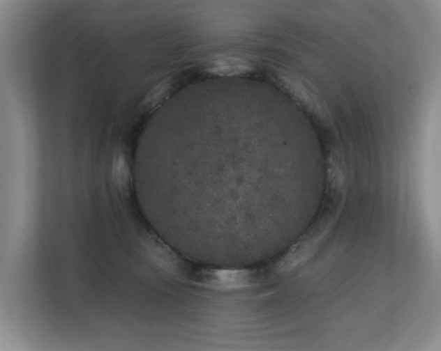 X0000110720371200906121433