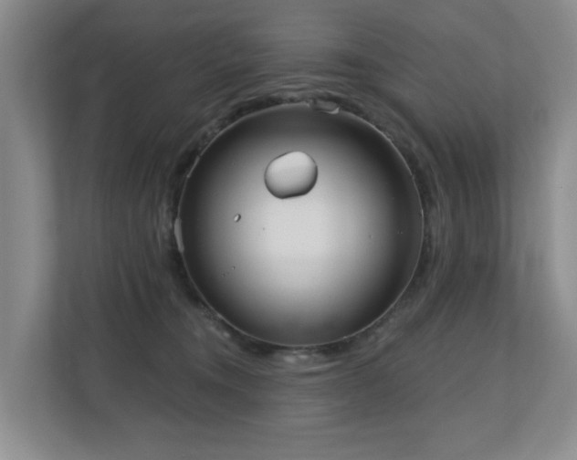 X0000110720372200906121433