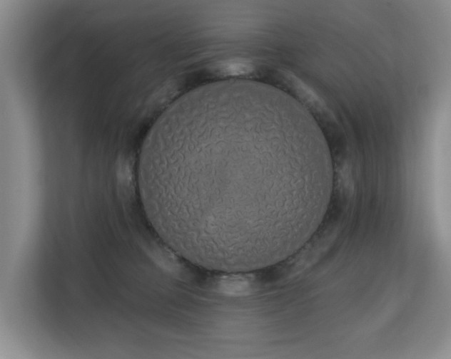 X0000110720373200906121433