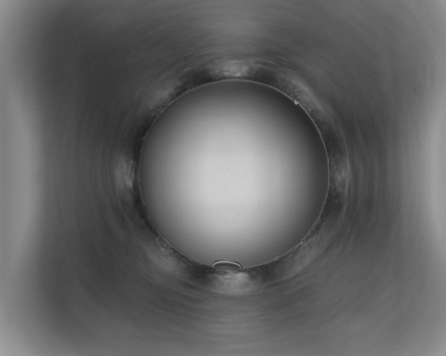 X0000110720374200906121433