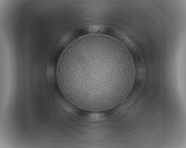 X0000110720375200906121433