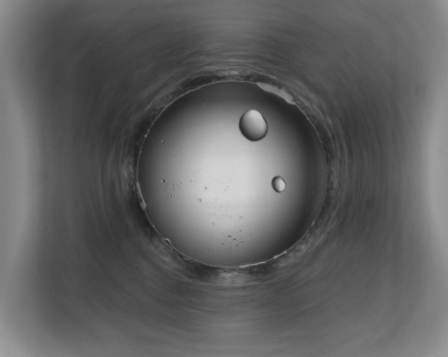 X0000110720376200906121433