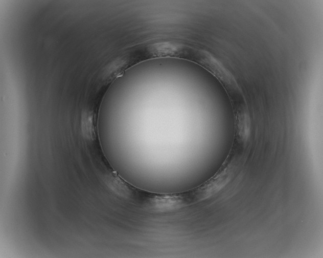 X0000110720378200906121433