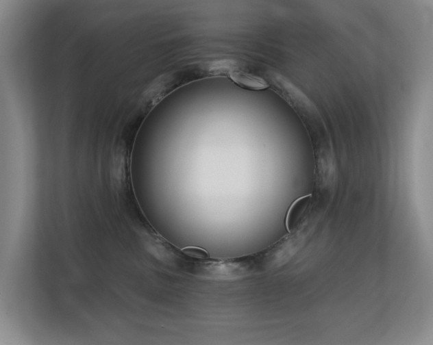 X0000110720379200906121433