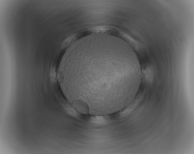 X0000110720381200906121433