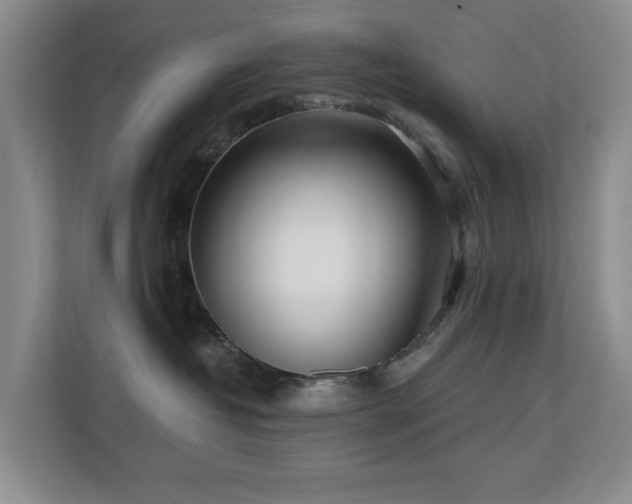 X0000110720382200906121433