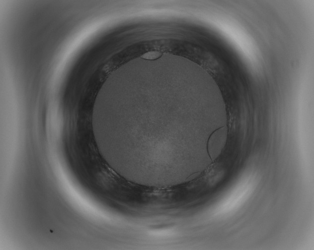 X0000110720383200906121433