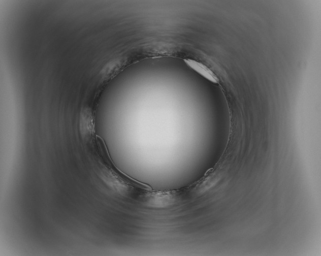 X0000110720384200906121433