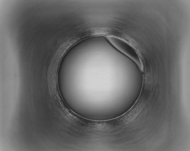 X0000110720385200906121432