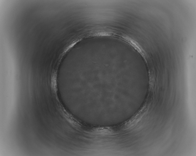 X0000110720386200906121432