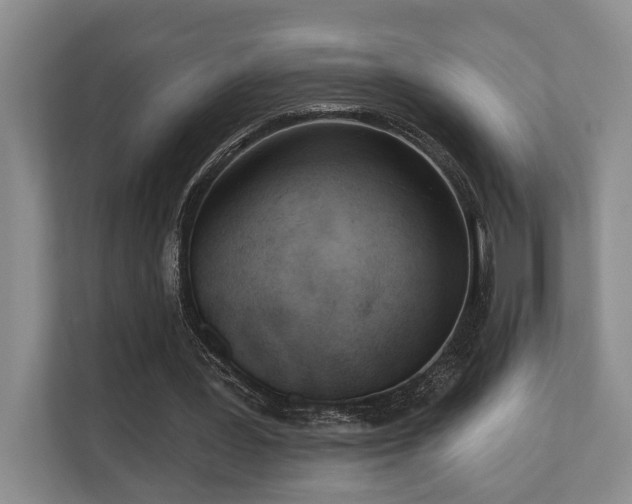 X0000110720387200906121432