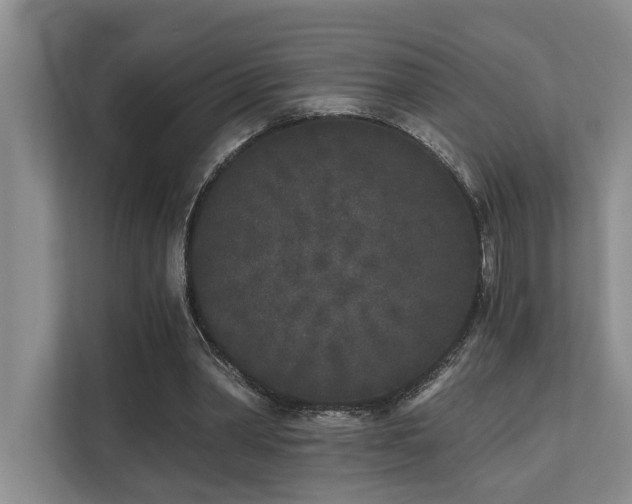X0000110720390200906121432
