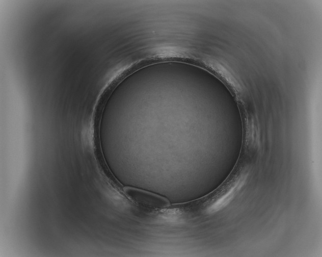 X0000110720391200906121432