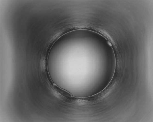 X0000110720393200906121432