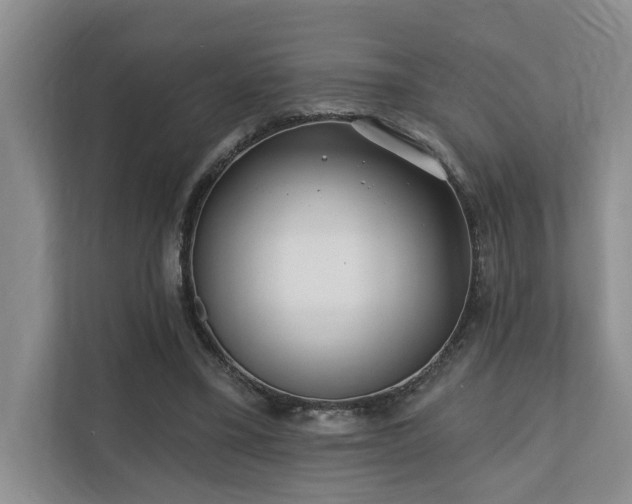 X0000110720395200906121432
