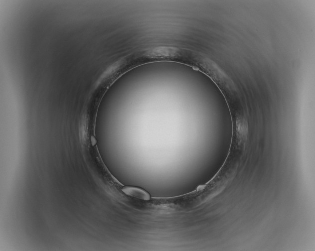 X0000110720396200906121432