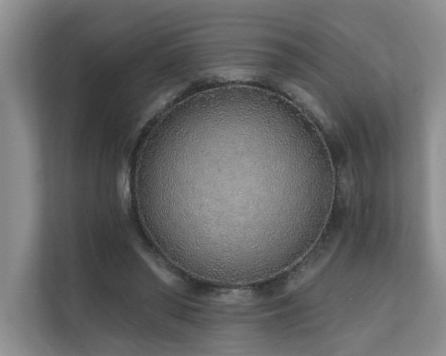 X0000110720398200906121432