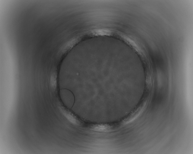 X0000110720402200906121432