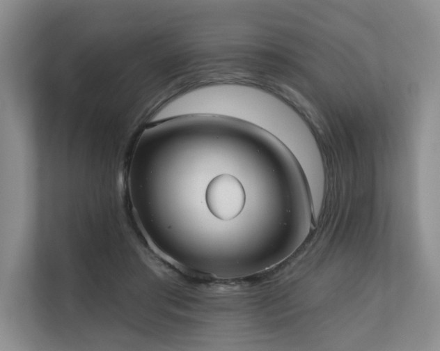 X0000110720405200906121432