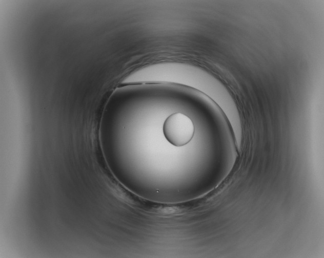 X0000110720409200906121432