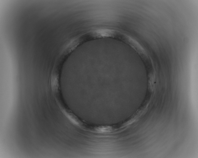X0000110720410200906121432