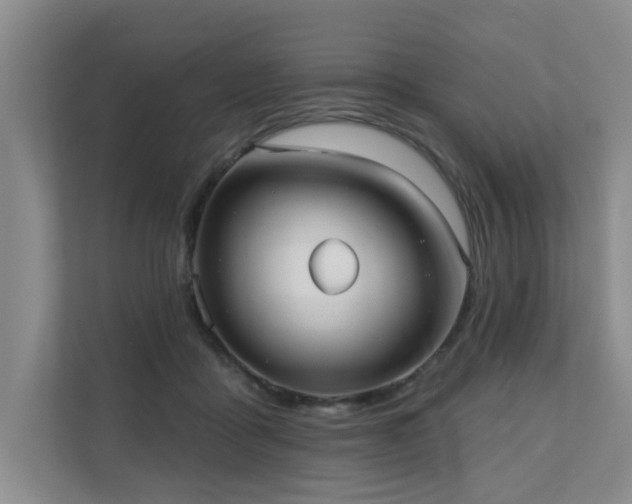X0000110720411200906121432
