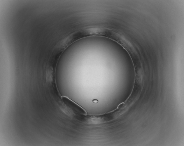X0000110720413200906121432