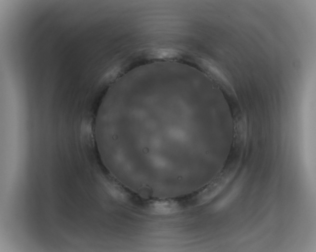 X0000110720415200906121432
