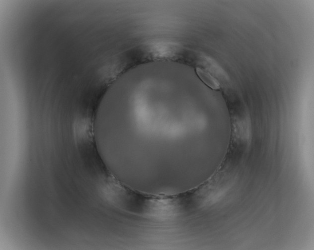 X0000110720419200906121432
