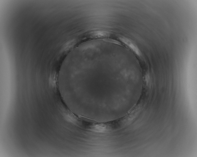 X0000110720423200906121432