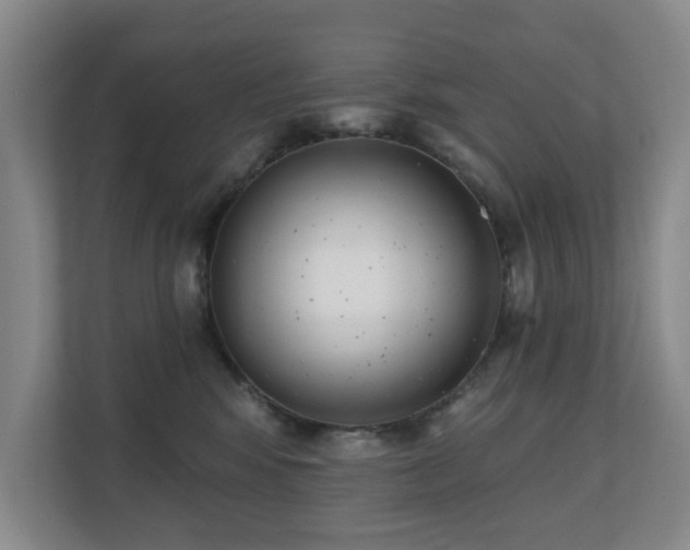 X0000110720424200906121432