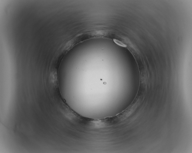 X0000110720425200906121432