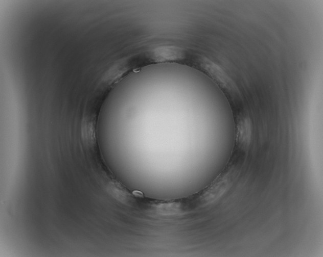 X0000110720426200906121432