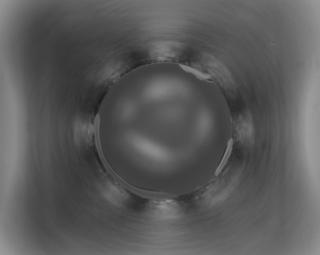 X0000110720427200906121432