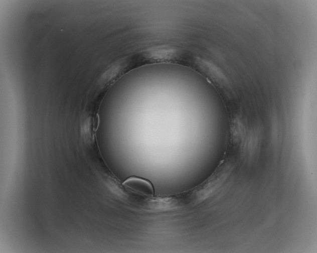 X0000110720428200906121432