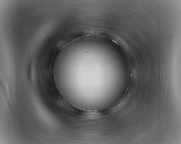 X0000110720429200906121432