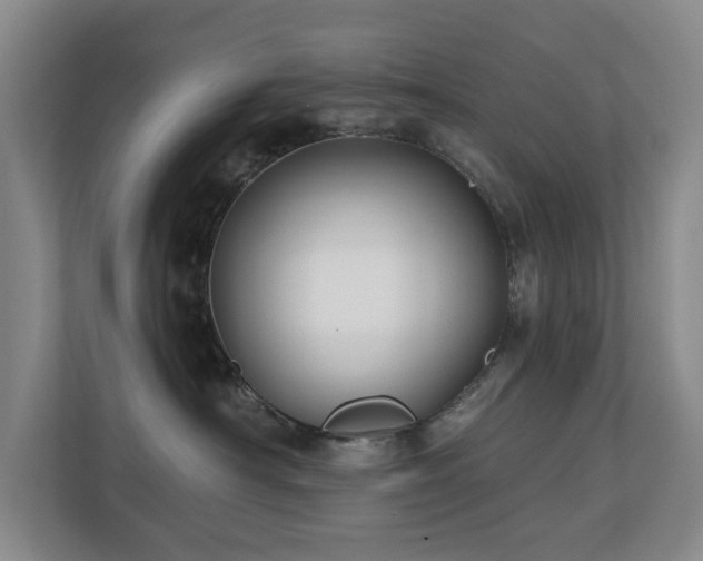 X0000110720430200906121432